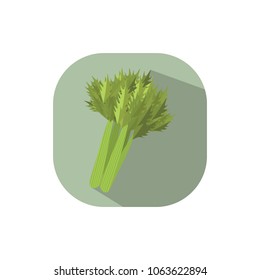 Flat design celery