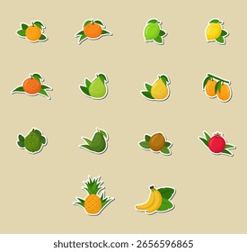 Diseño plano de pegatinas de cítricos. Ilustraciones vectoriales. Conjunto de frutas.