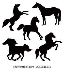 Flat design collection of horse silhouette.  contour set. Stallions and mares stand, rearing up, gallop