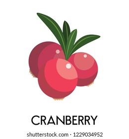 Flat design cranberry icon illustration in vector on white background.