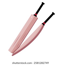 Flat design cricket bats pair isolated vector illustration