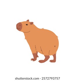 Flat design of cute capybara on white isolated background. Cartoon pattern for design greeting cards, invitations, posters. Vector