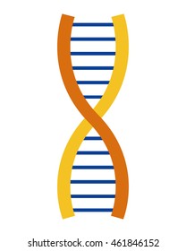 flat design dna strand icon vector illustration