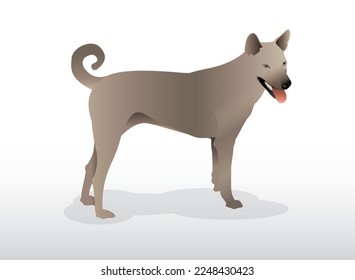 Flat design dog brown detailed animals illustration 