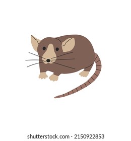Flat design of Domestic Rat. Vector illustration isolated on white background.