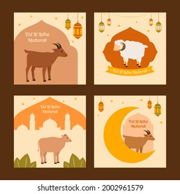Flat design of Eid Al Adha Mubarak greeting social media post square size collection vector stock