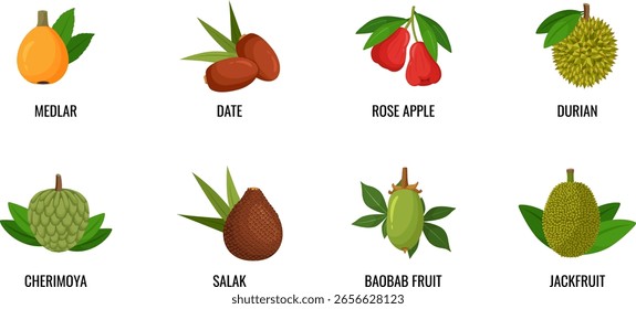 Flat design of exotic fruits. Vector illustrations on white background. Icons. Set of fruits.