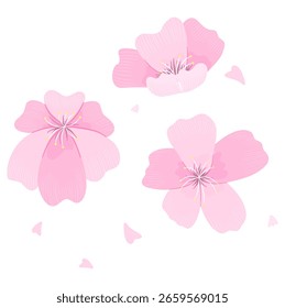 Set Floral de Diseño Plano – Flor de Cerezo para Invitaciones, Blog y Gráficos de Presentación