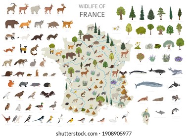 Diseño plano de la fauna francesa. Animales, aves y elementos constructores de plantas aislados en conjunto blanco. Construya su propia colección de infografías geográficas. Ilustración del vector