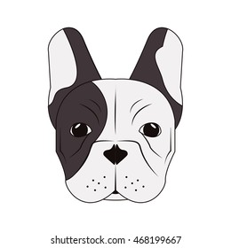 flat design french bulldog icon vector illustration