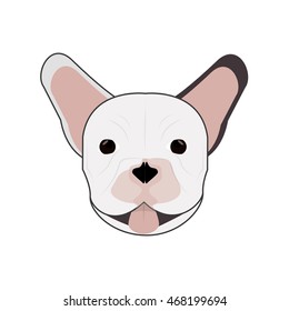 flat design french bulldog icon vector illustration