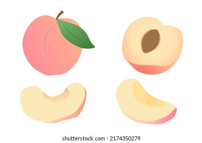 Diseño plano de melocotones frescos aislados vectores sobre fondo blanco, delicioso melocotón rebanado, manzana rebanada sobre fondo blanco, delicioso vector de melocotones japonés, frutas frescas aisladas en blanco.