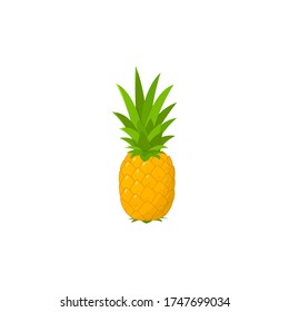 flat design of fresh yellow pineapple fruit for summer isolated white background