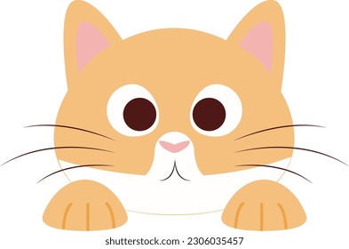 un design plat d'un chat froussard, d'un chat orange et blanc, ce design peut être utilisé comme élément décoratif et comme émotion