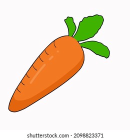 Flat Design of fruit vegetable carrot