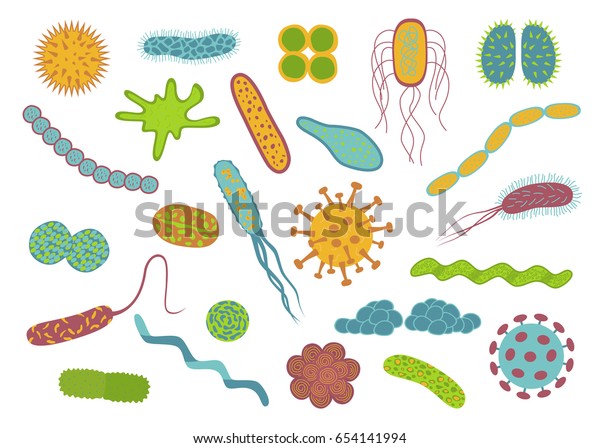 白い背景に平らなデザインの細菌と細菌のアイコンセット 細菌細胞の形状 球菌菌スピリラ菌ベクターイラスト のベクター画像素材 ロイヤリティフリー