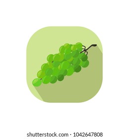 Flat design grapes