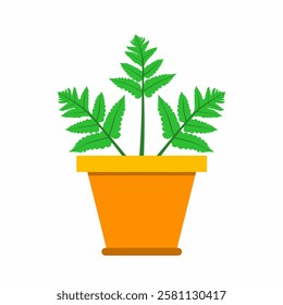 Flat design graphic vector illustration of bright green fern plant in orange pot isolated on white background. Perfect for botanical design, home decor or gardening related creative projects.