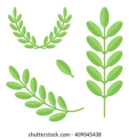 Flat design green branches with leaves set, collection isolated on white background. 