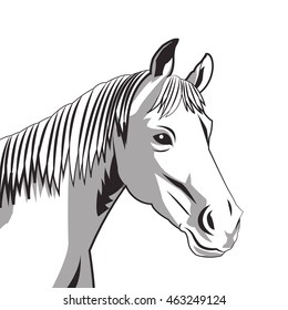 flat design horse drawing icon vector illustration