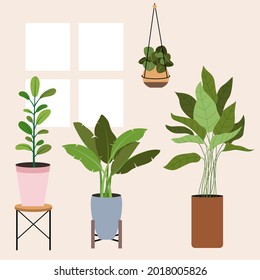 Flat design of houseplant decoration potted plants collection vector design