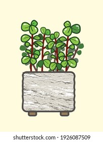 Diseño plano planta pequeña hoja Jade en flowerpot con fondo amarillo en la ilustración linda arte vectorial
