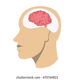 flat design human brain in head icon vector illustration