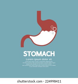 Flat Design Human's Stomach Graphic Vector Illustration