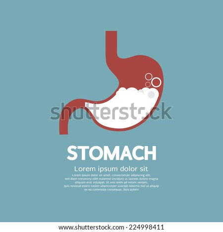 Flat Design Human's Stomach Graphic Vector Illustration