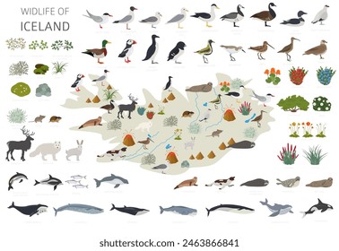 Flat design of Iceland wildlife. Animals, birds and plants constructor elements isolated on white set. North Atlantic nature. Vector illustration