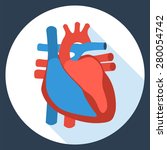 Flat design icon of anatomy of human heart. Vector illustration. Health care and medical care symbol.