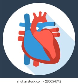 Flat Design Icon Of Anatomy Of Human Heart. Vector Illustration. Health Care And Medical Care Symbol.