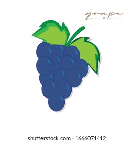 flat design icon grape Fresh farm healthy food. Education card for kids Flat design White background Isolated Vector illustration
