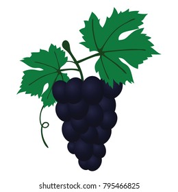 Flat design icon of Grape in ui colors. Vector illustration. 
