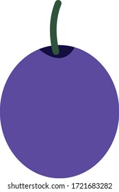 flat design icon illustration of fruit,icon vector