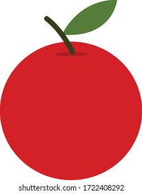 flat design icon illustration of fruit,icon vector