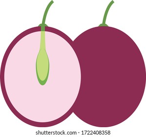 flat design icon illustration of fruit,icon vector
