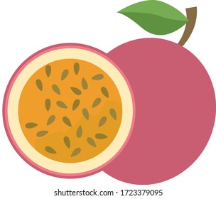 flat design icon illustration of fruit,icon vector