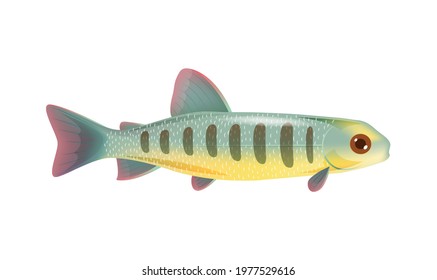 Flat design icon with small salmon fry vector illustration