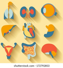 Flat Design Icons For Medical Theme, Human Organs