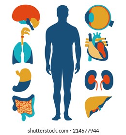 Flat design icons for medical theme. Human anatomy, huge collection of human organs