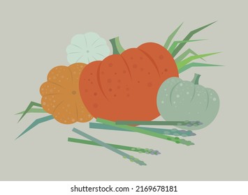Ilustración de diseño plano. Calabazas de color, espárragos y cebolla verde. Fotografía de cosecha. Productos ecológicos de granja.