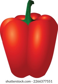 Flat Design Illustration Concept
Of Capsicum