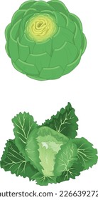 Flat Design Illustration Concept
Of Cauliflower 