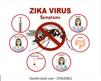 Flat design illustration concepts Zika virus symptoms infographics with figures and text    