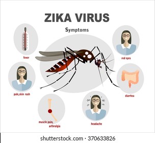 Flat design illustration concepts Zika virus symptoms infographics with figures and text    