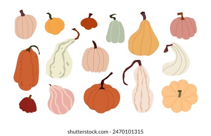 Flat design Illustration of Diverse Pumpkins