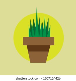 Flat design illustration grass on the pot with yellow background vector art.