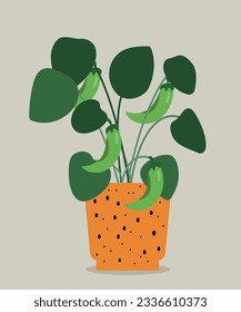 Flat Design Illustration with Green Chili Pepper Pot