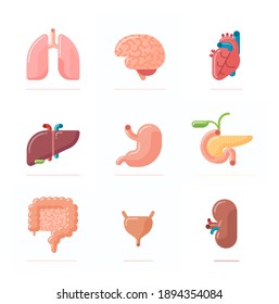 Ilustración de diseño plano de los órganos humanos: cerebro, corazón, pulmones, hígado, estómago, riñón, intestino, vejiga urinaria y páncreas